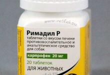 Photo of Описание и особенности Римадил 20